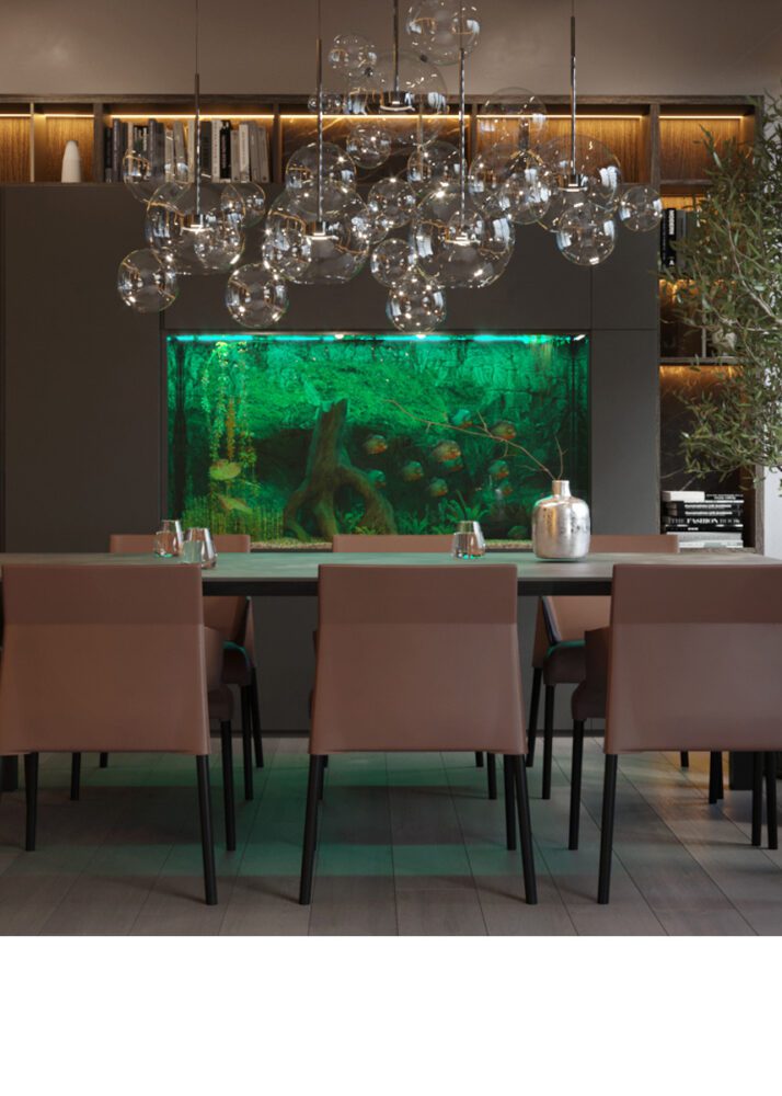 Big Apartment Sunny Olympus